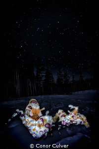 "Terror of the Stars" part of my Underwater Surrealism se... by Conor Culver 